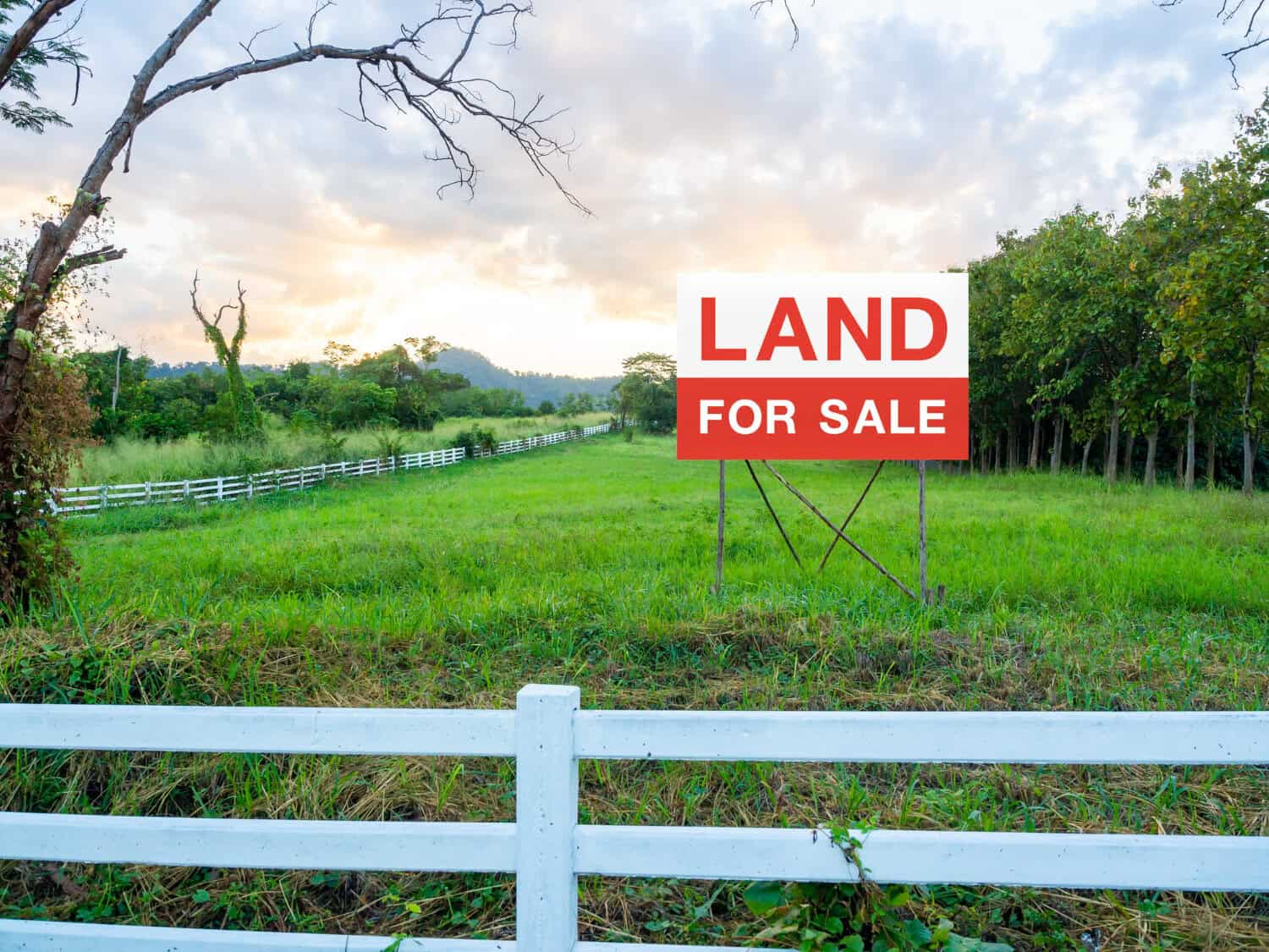 You are currently viewing The Easiest Way to Sell Vacant Land in Oregon